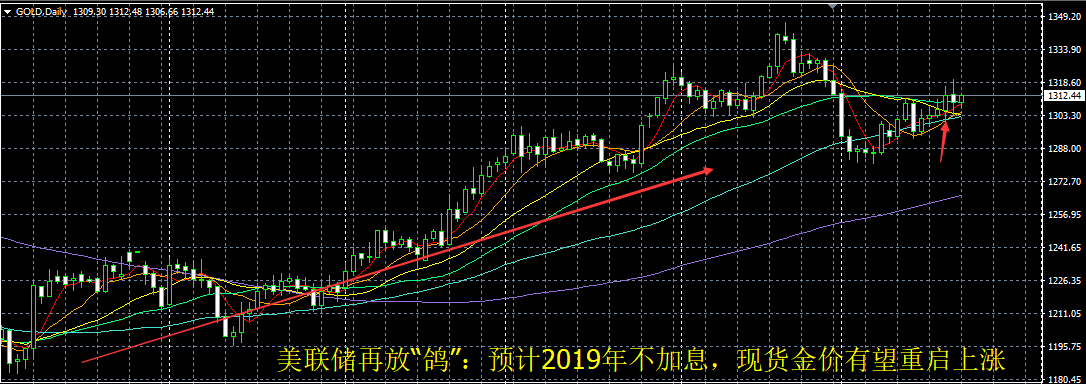 今日现货黄金最新建议_挣脱加息枷锁